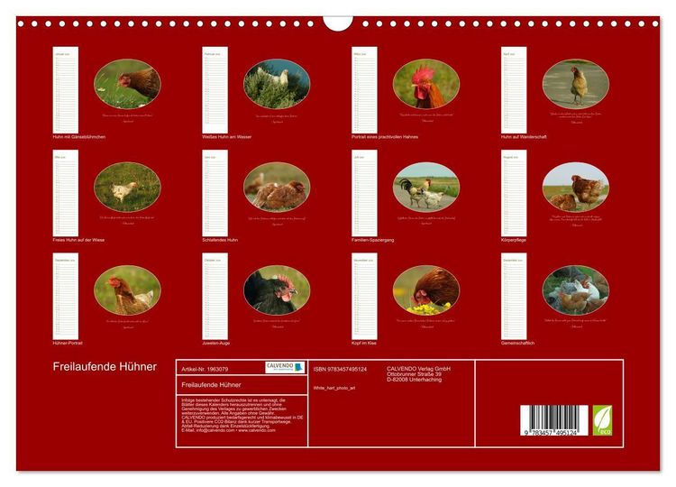 Produktbild: Freilaufende H&uuml;hner (Wandkalender 2026 DIN A3 quer), CALVENDO Monatskalender