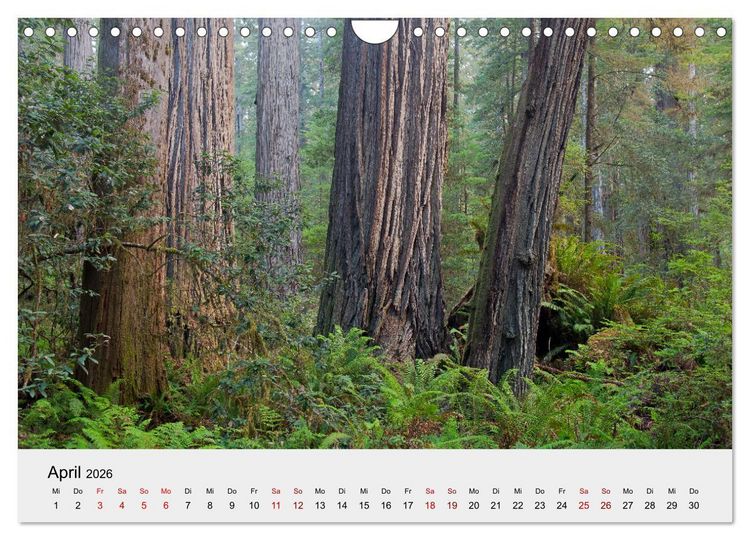 Produktbild: Kalifornien - K&uuml;sten und W&uuml;sten, St&auml;dte und Berge (Wandkalender 2026 DIN A4 quer), CALVENDO Monatskalender