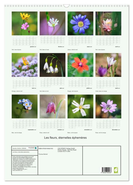 Produktbild: Les fleurs, &eacute;ternelles &eacute;phem&egrave;res (Calendrier mural 2027 DIN A2 horizontal), CALVENDO calendrier mensuel