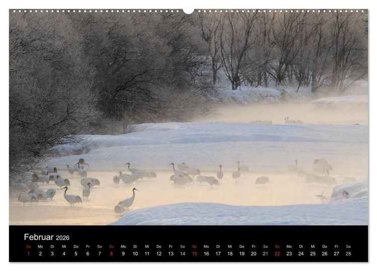 Produktbild: V&ouml;gel & Landschaften (hochwertiger Premium Wandkalender 2026 DIN A2 quer), Kunstdruck in Hochglanz