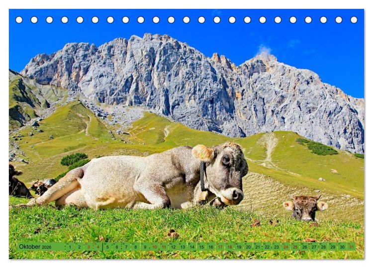 Produktbild: Auf Weidefl&auml;chen und Hochweiden (Tischkalender 2026 DIN A5 quer), CALVENDO Monatskalender