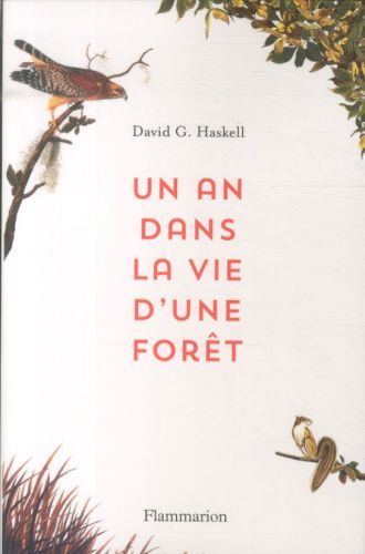 Produktbild: Un an dans la vie d'une for&ecirc;t