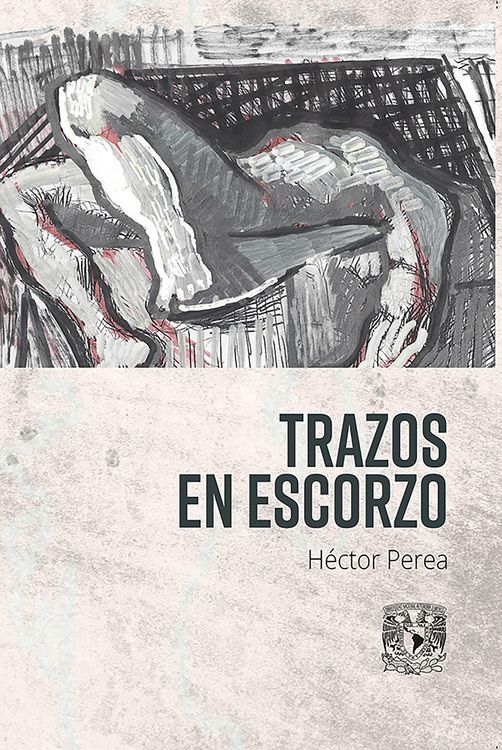 Produktbild: Trazo en escorzo