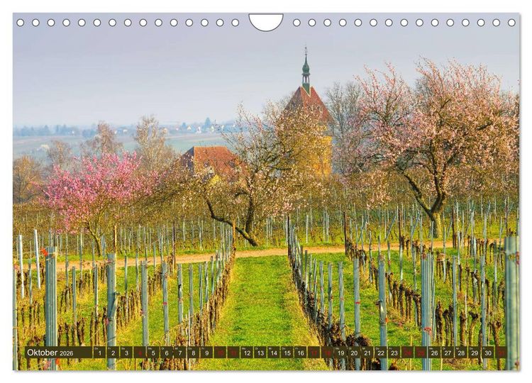 Produktbild: Mandelbl&uuml;tenzauber an der Deutschen Weinstra&szlig;e (Wandkalender 2026 DIN A4 quer), CALVENDO Monatskalender