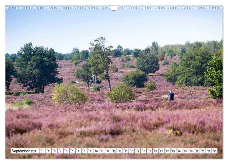 Produktbild: Radland Deutschland - L&uuml;neburger Heide (Wandkalender 2027 DIN A3 quer), CALVENDO Monatskalender