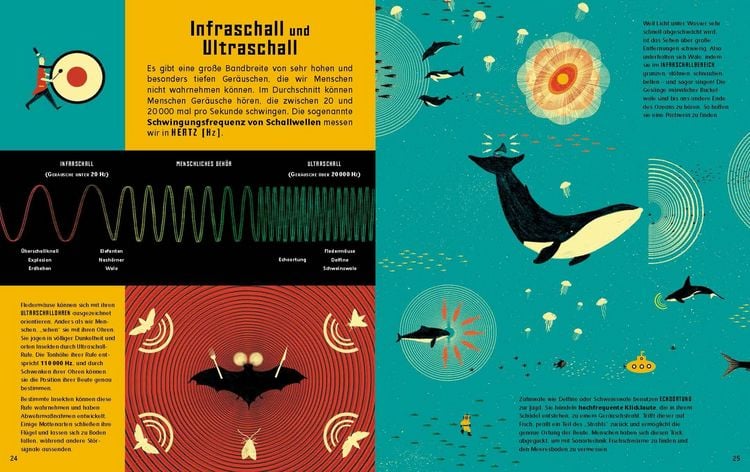 Produktbild: Wie schnell ist das Licht?