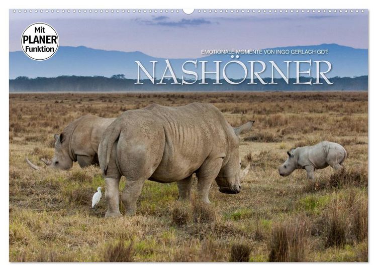 Produktbild: Emotionale Momente: Nash&ouml;rner (Wandkalender 2026 DIN A2 quer), CALVENDO Monatskalender