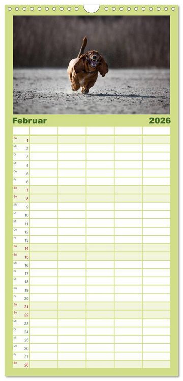 Produktbild: Familienplaner 2026 - POWERHUNDE 2026 mit 5 Spalten (Wandkalender, 21 x 45 cm) CALVENDO