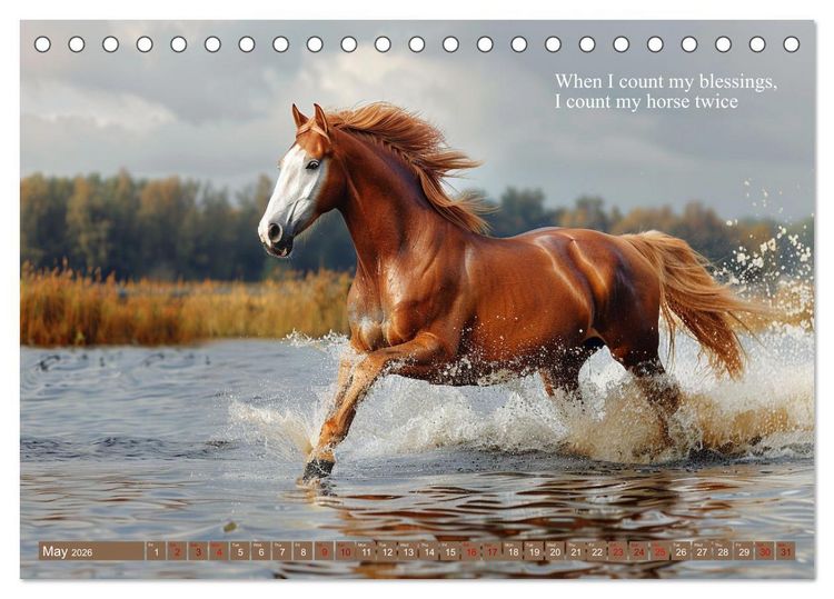 Produktbild: A Horse Makes You Complete (Desk Calendar 2026 DIN A5 landscape), CALVENDO 12 Month DeskCalendar