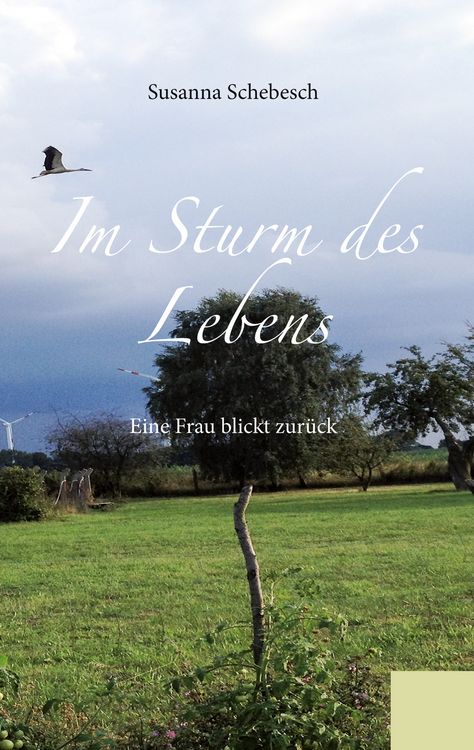 Produktbild: Im Sturm des Lebens