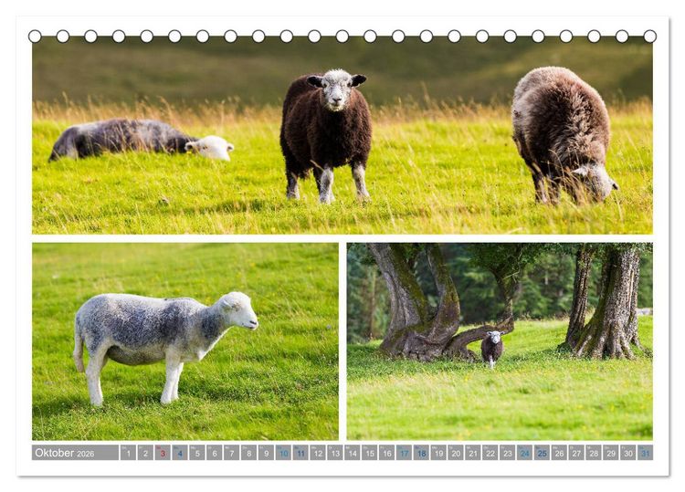 Produktbild: Sehnsucht Wales - Collagen eines Landes (Tischkalender 2026 DIN A5 quer), CALVENDO Monatskalender