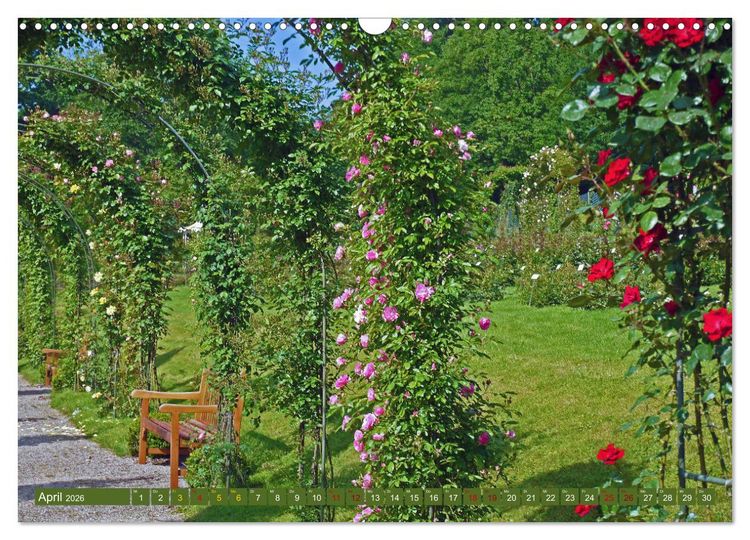 Produktbild: Rosengarten auf dem Beutig (Wandkalender 2026 DIN A3 quer), CALVENDO Monatskalender