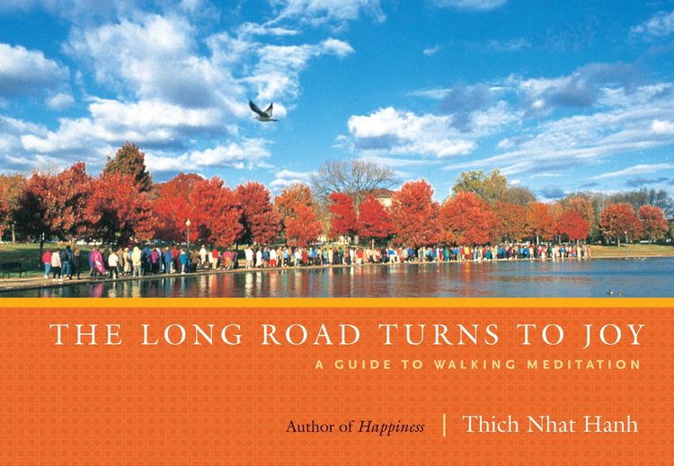 Produktbild: The Long Road Turns to Joy