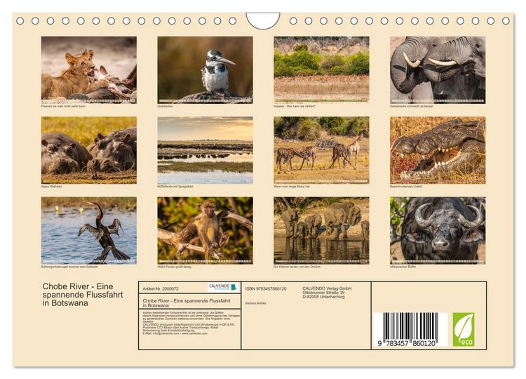Produktbild: Chobe River - Eine spannende Flussfahrt in Botswana (Wandkalender 2026 DIN A4 quer), CALVENDO Monatskalender