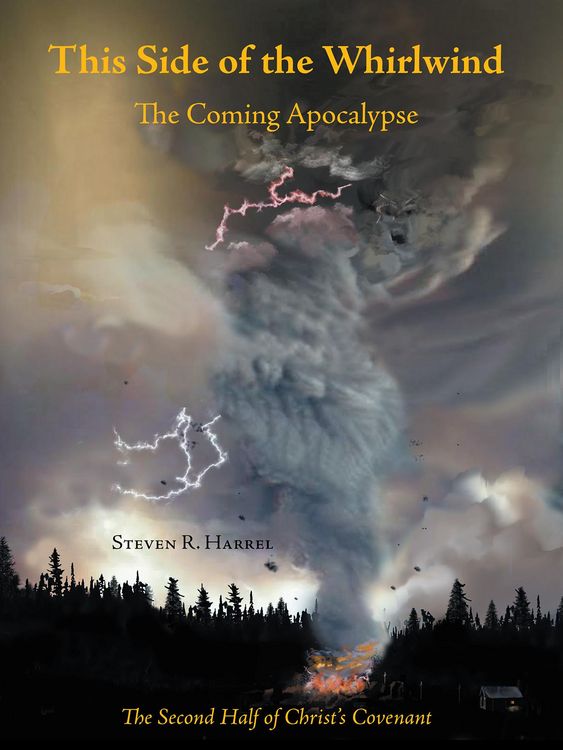 Produktbild: This Side of the Whirlwind