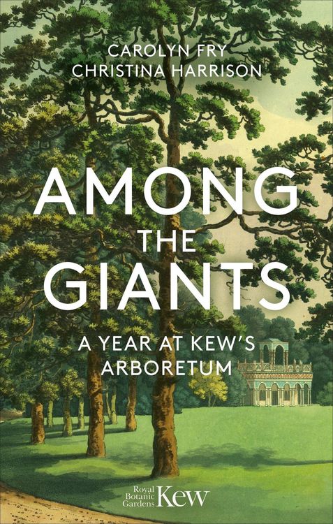 Produktbild: Among the Giants