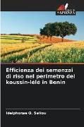 Produktbild: Efficienza dei semenzai di riso nel perimetro del koussin-l&eacute;l&eacute; in Benin