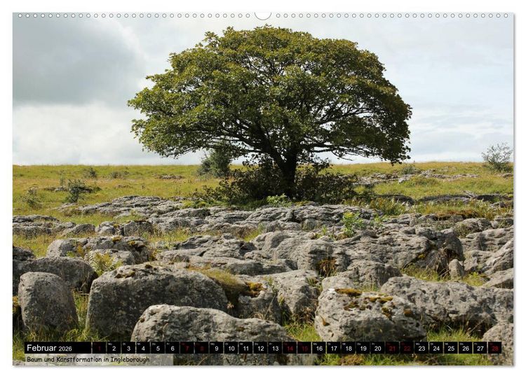 Produktbild: Traumhafte Yorkshire Dales (Wandkalender 2026 DIN A2 quer), CALVENDO Monatskalender