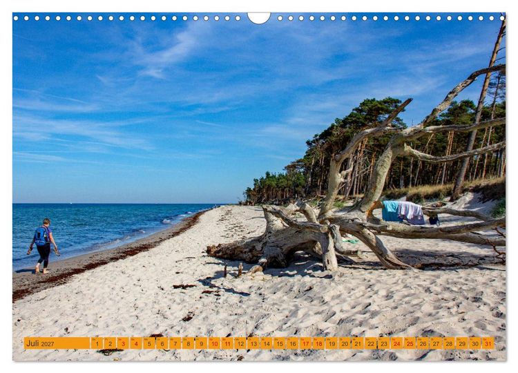 Produktbild: Wilder Dar&szlig;er Weststrand (Wandkalender 2027 DIN A3 quer), CALVENDO Monatskalender