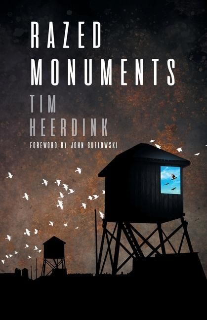 Produktbild: Razed Monuments