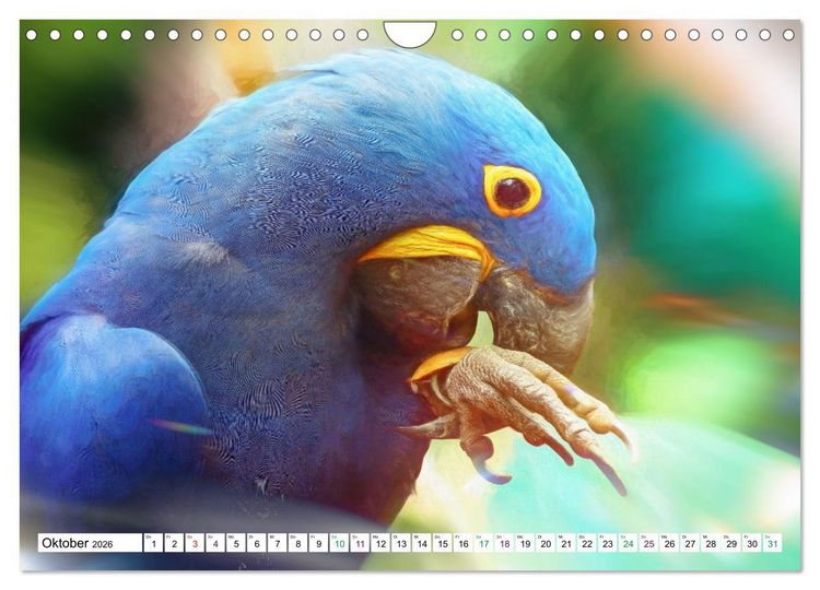 Produktbild: Papageien und Sittiche - Kunstbilder (Wandkalender 2026 DIN A4 quer), CALVENDO Monatskalender