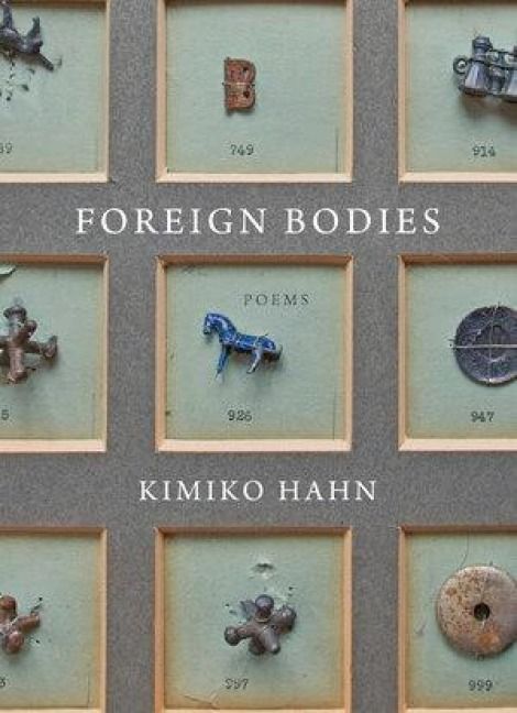 Produktbild: Foreign Bodies