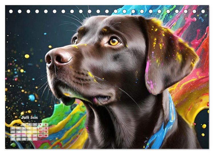 Produktbild: Splash - Hunde im Farbrausch (Tischkalender 2026 DIN A5 quer), CALVENDO Monatskalender