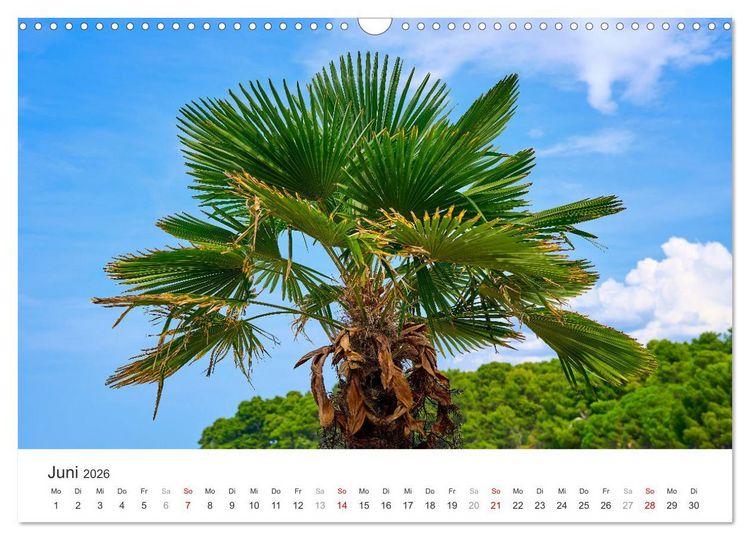 Produktbild: Porec Kalender - Die kroatische Stadt an der Adria (Wandkalender 2026 DIN A3 quer), CALVENDO Monatskalender
