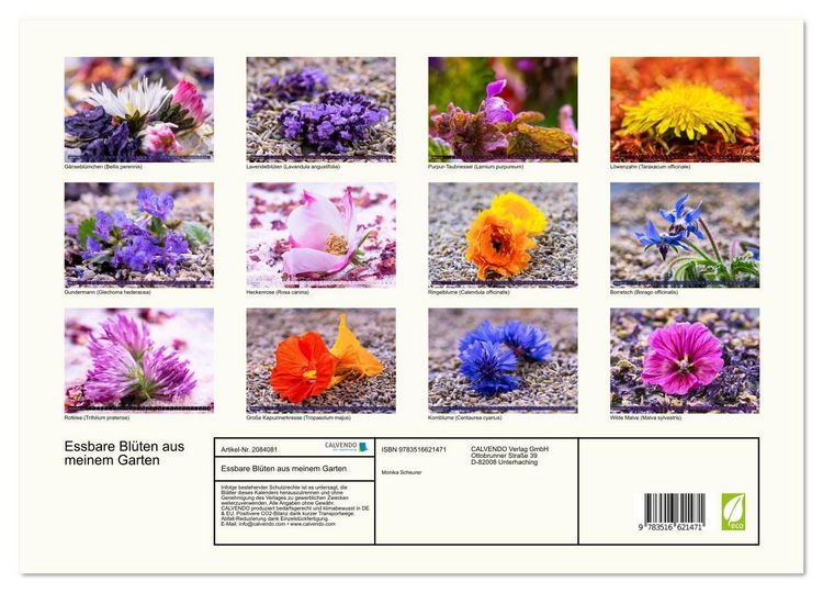 Produktbild: Essbare Bl&uuml;ten aus meinem Garten (hochwertiger Premium Wandkalender 2026 DIN A2 quer), Kunstdruck in Hochglanz