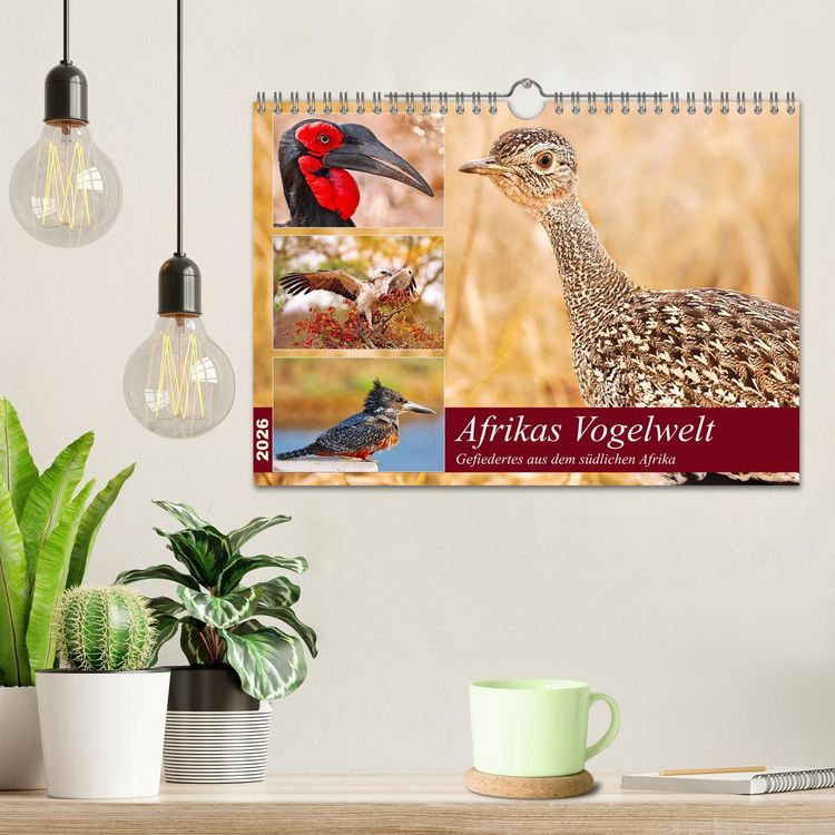 Produktbild: Afrikas Vogelwelt 2026 (Wandkalender 2026 DIN A4 quer), CALVENDO Monatskalender