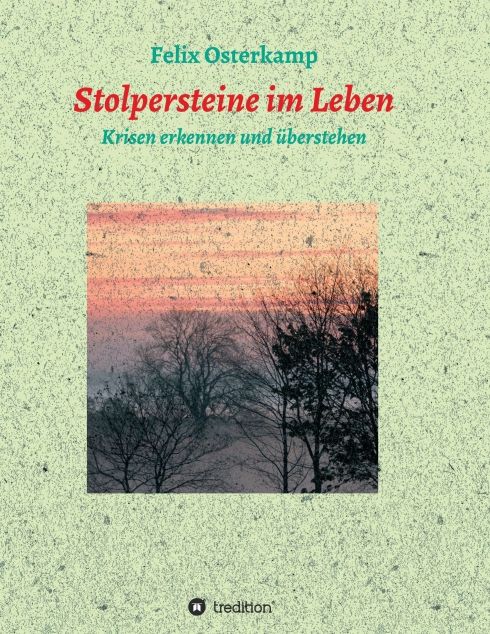 Produktbild: Stolpersteine im Leben - Krisen erkennen und &uuml;berstehen