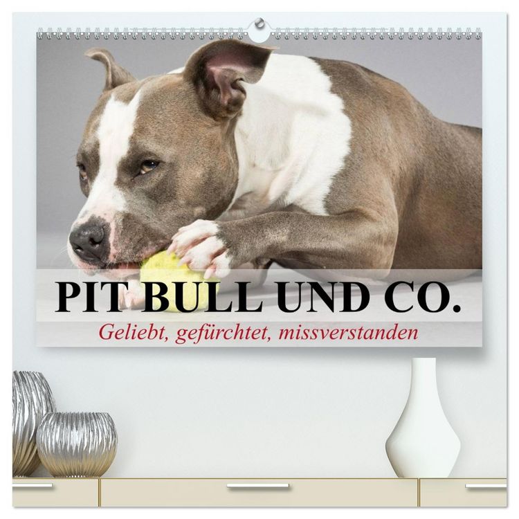 Produktbild: Pit Bull und Co. - Geliebt, gef&uuml;rchtet, missverstanden (hochwertiger Premium Wandkalender 2026 DIN A2 quer), Kunstdruck in Hochglanz