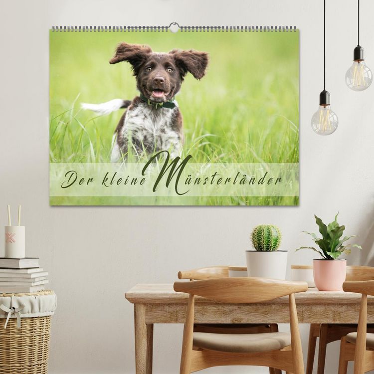 Produktbild: Der kleine M&uuml;nsterl&auml;nder (Wandkalender 2026 DIN A2 quer), CALVENDO Monatskalender