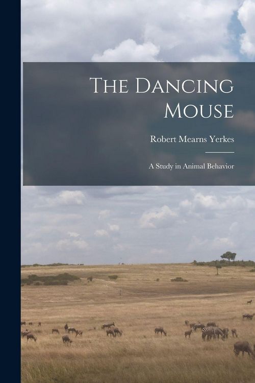 Produktbild: The Dancing Mouse