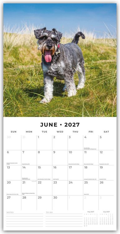 Produktbild: Miniature Schnauzer &ndash; Zwergschnauzer 2027 &ndash; 16-Monatskalender