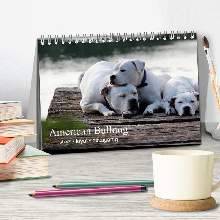 Produktbild: American Bulldog - stolz, loyal, einzigartig (Tischkalender 2026 DIN A5 quer), CALVENDO Monatskalender