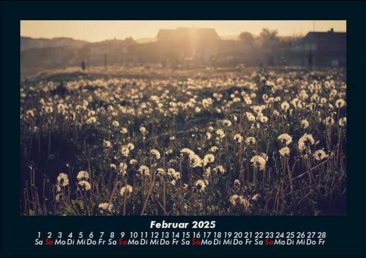 Produktbild: Blumenkalender 2025 Fotokalender DIN A5