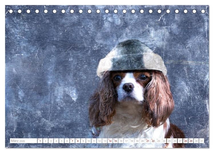 Produktbild: Hund tr&auml;gt Hut (Tischkalender 2026 DIN A5 quer), CALVENDO Monatskalender