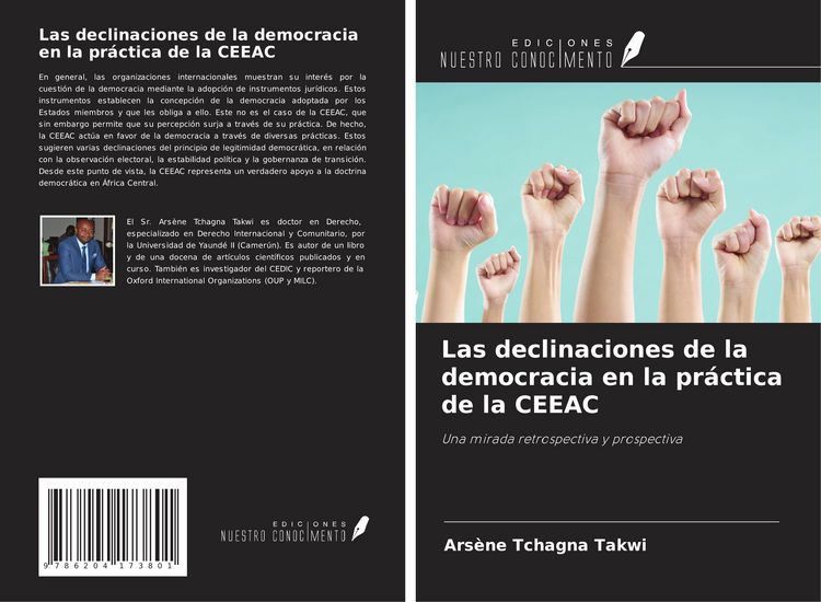 Produktbild: Las declinaciones de la democracia en la pr&aacute;ctica de la CEEAC