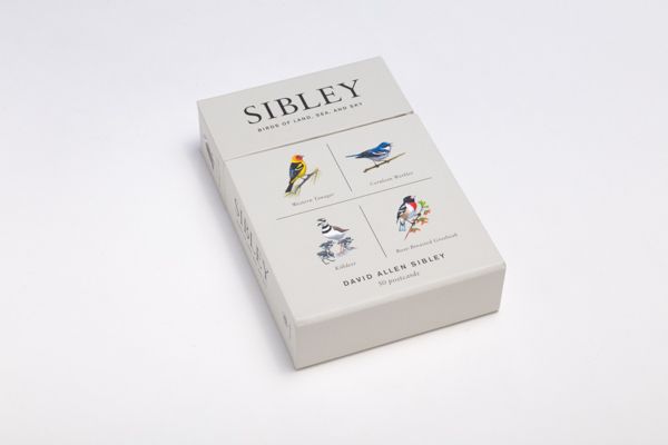 Produktbild: Sibley Birds of Land, Sea, and Sky