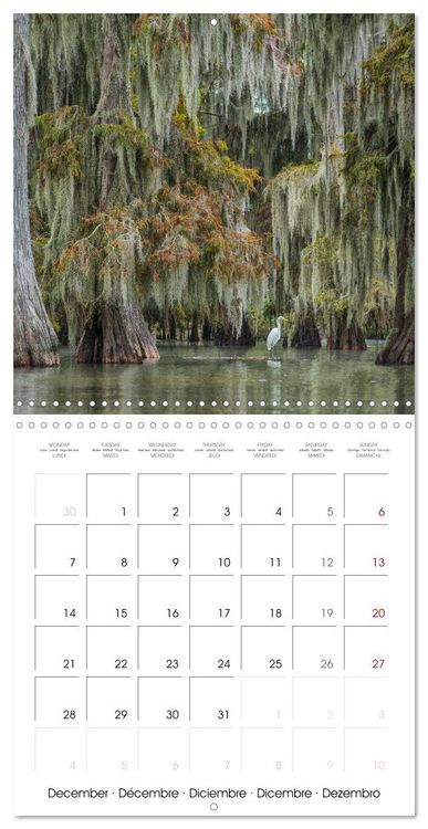 Produktbild: Mississippi Delta, Magic Swamps (Wall Calendar 2026 12 &times; 12 Inch) CALVENDO 12 Month Wall Calendar