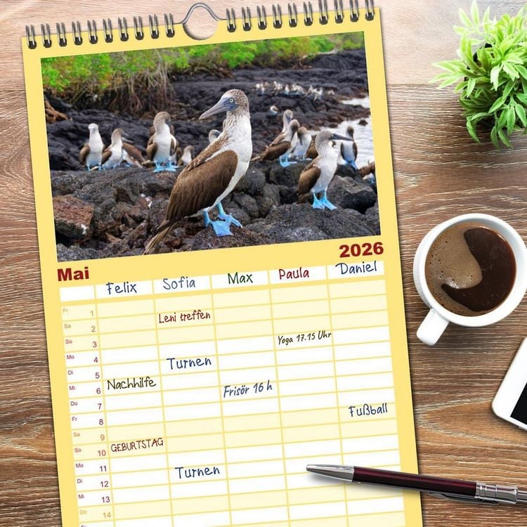Produktbild: Familienplaner 2026 - Entdecke Galapagos mit 5 Spalten (Wandkalender, 21 x 45 cm) CALVENDO