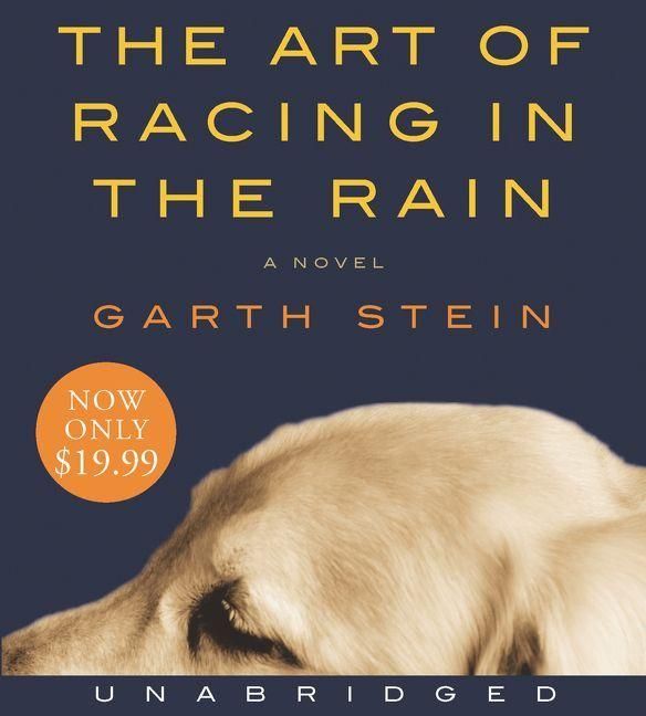 Produktbild: The Art of Racing in the Rain