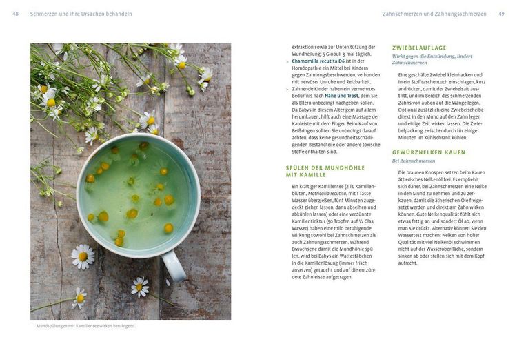 Produktbild: Naturheilkunde gegen Schmerzen und Fieber