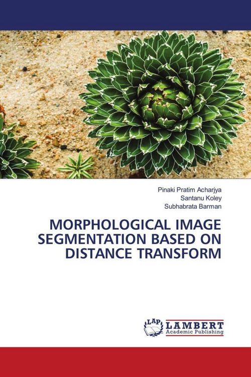 Produktbild: MORPHOLOGICAL IMAGE SEGMENTATION BASED ON DISTANCE TRANSFORM