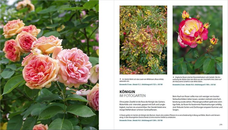 Produktbild: Garten-Shooting