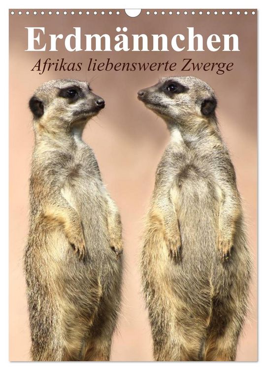 Produktbild: Erdm&auml;nnchen - Afrikas liebenswerte Zwerge (Wandkalender 2026 DIN A3 hoch), CALVENDO Monatskalender