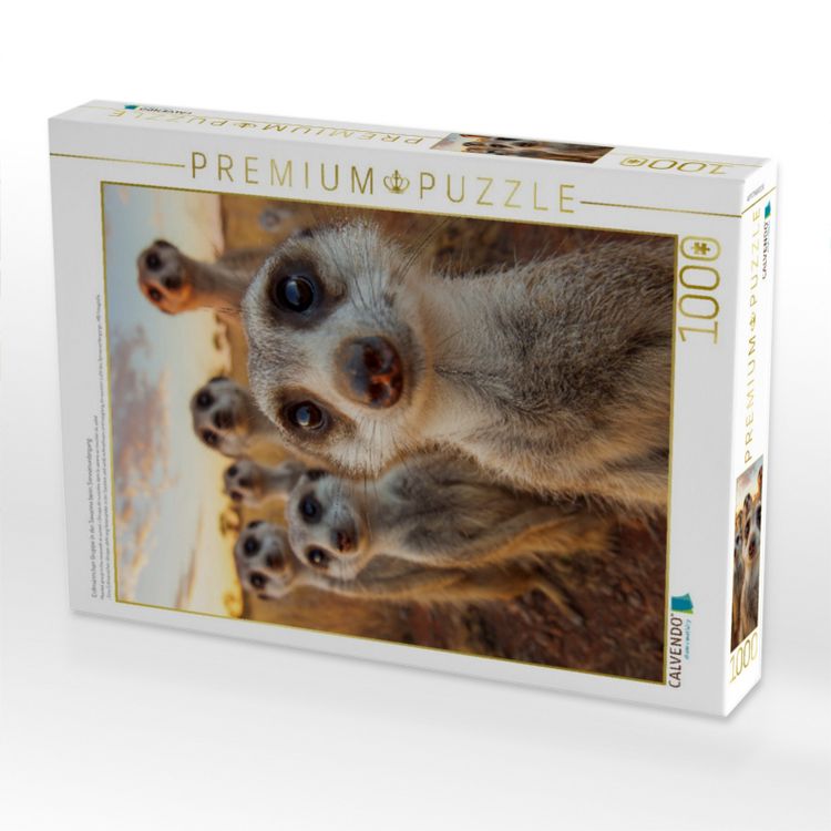 Produktbild: CALVENDO Puzzle Erdm&auml;nnchen Gruppe in der Savanne beim Sonnenuntergang | 1000 Teile Lege-Gr&ouml;&szlig;e 64x48cm Foto-Puzzle f&uuml;r gl&uuml;ckliche Stunden
