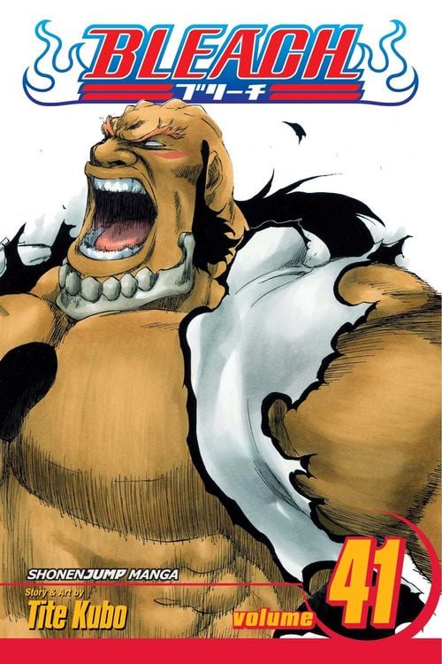 Produktbild: Bleach, 41