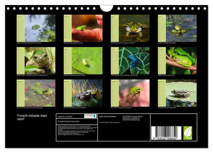 Produktbild: Frosch m&uuml;sste man sein! (Wandkalender 2026 DIN A4 quer), CALVENDO Monatskalender